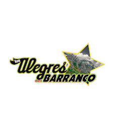 Los Alegres Del Barranco net worth