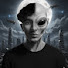 Q2e0bnL-QAw-channel-avatar-PEKENITO 