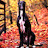 @TonyGreyhound-f4t