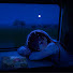 BpYp4wDrEH0-channel-avatar-your memories