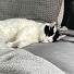 OKyvUsa2M2g-channel-avatar-tobi