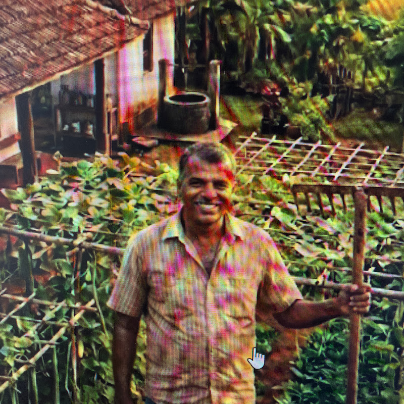 my gardening 