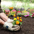 YlpdoS8gHuY-channel-avatar-Gardening Time