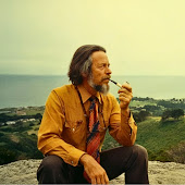 Alan Watts Daily Wisdom