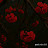 @YoussefMohamed-n7c1u