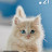 @YousifMahmoud-v4i