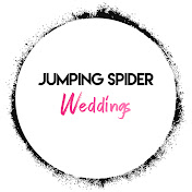 Jumping Spider