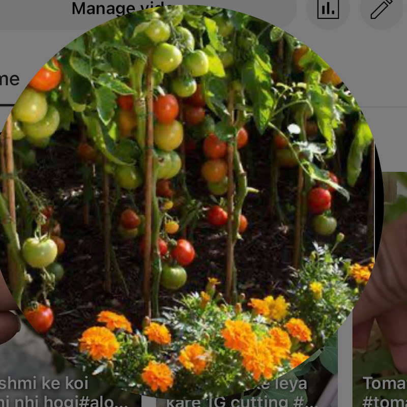 🧿Gardening with khiwals 