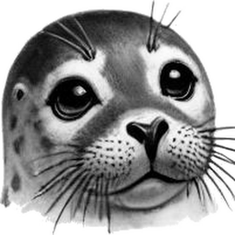 Solo RPG Seal