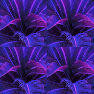thumbnail img1x1