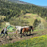 vDdsySJSF_8-channel-avatar-Carpathian Grandma & Grandpa Village Life