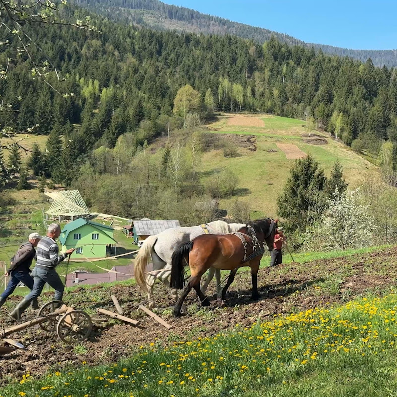Carpathian Grandma & Grandpa Village Life