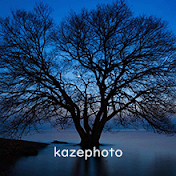 kazephoto _ 4 K 癒しの自然風景