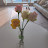 @hyeranbagtv1468