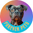 rbXKQbh1ros-channel-avatar-Furever Pets
