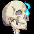 oO4sS6rnLQU-channel-avatar-KalTheSkeleton
