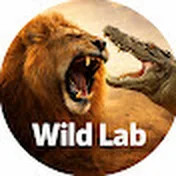 Wild Lab | Top Animal Facts
