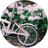 WbUv5nNK8SQ-channel-avatar-달리지유 DALRI JIYU