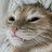 @steel5897's avatar