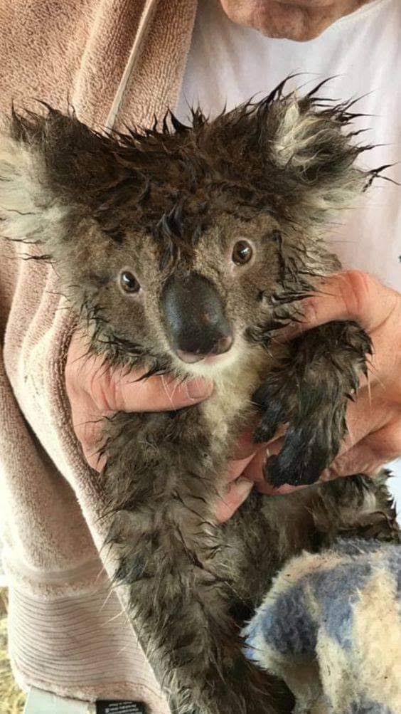 gwS5IXkyexJzmKJ8lpCAohH4jrbHUqv-mc8TGLIPaJzk3sfx1Q202eQYeFScRBlSKnlWeajdIIP_Lg=s1003-nd-v1