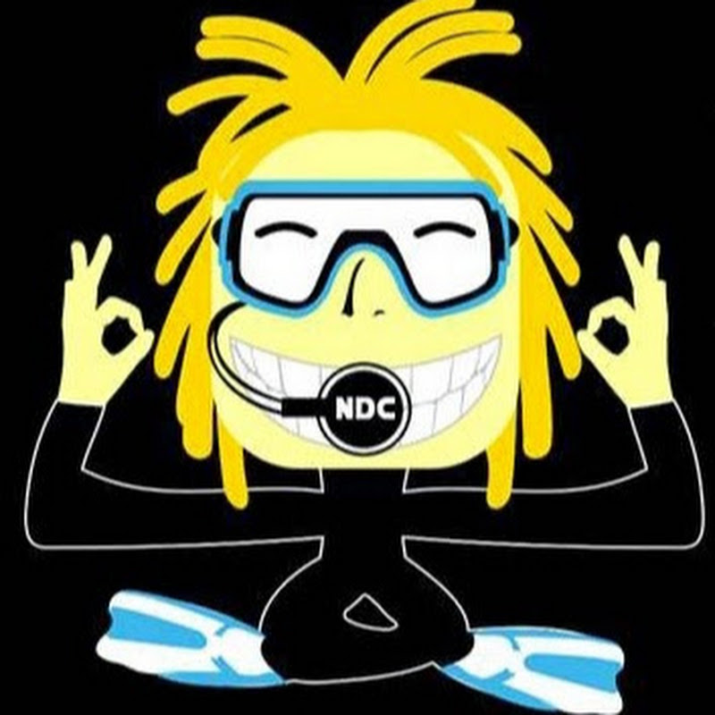 NICO DIVES COOL BALI Dive Center😁