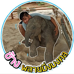 ช้างพลายมิ่งมงคล(Plai Mingmongkol)​ Avatar