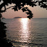 6cFetJ3JWFQ-channel-avatar-Just Pattaya
