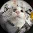 FPMMYMYIF24-channel-avatar-Murie