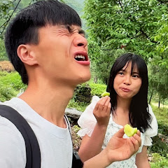 山有俊琴 Shan You Junqin