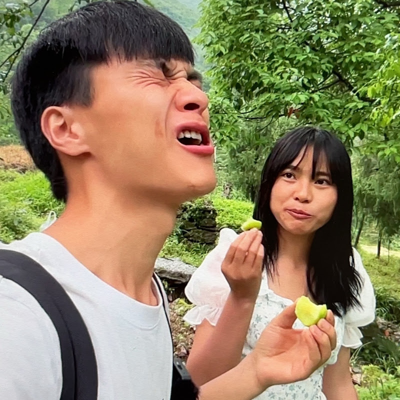 山有俊琴 Shan You Junqin Logo