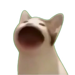 POPO CAT