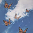 Rtr59p5pP8o-channel-avatar-ButterflyArt