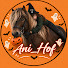 oI5kSafk4lY-channel-avatar-Ani_Hof