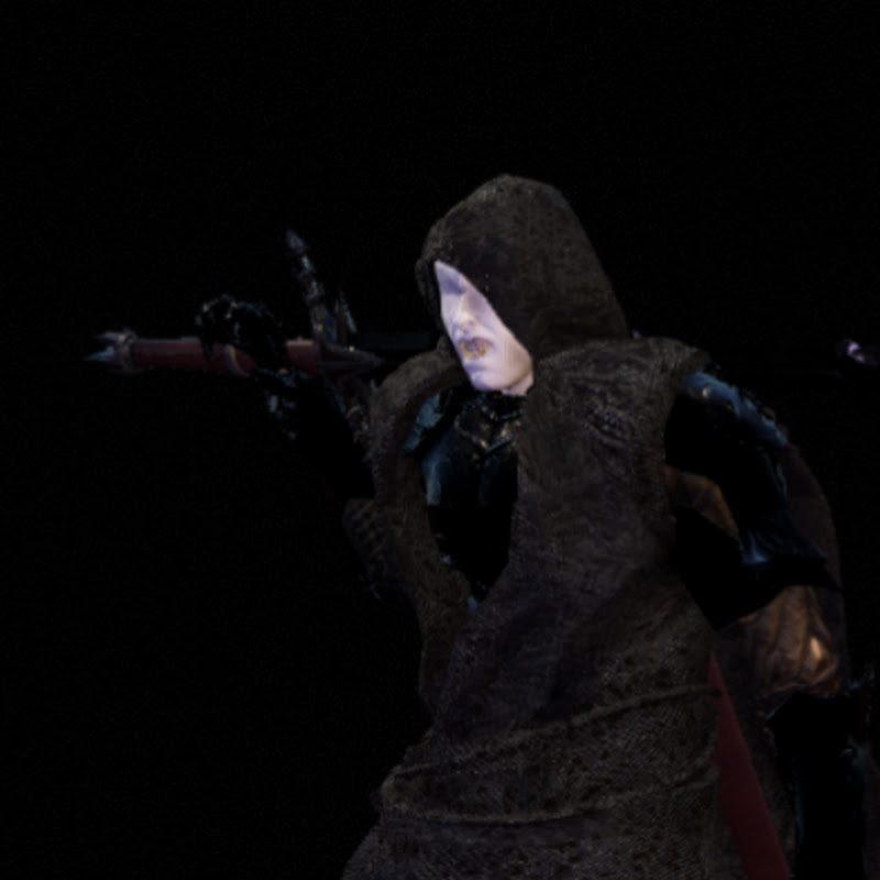Heragoga