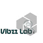 vibzz lab