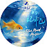 d55FP6-5v9k-channel-avatar-鱼的记忆 Blue Mood Music
