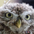 8Bju4UYqwTc-channel-avatar-H18-PDW Photography