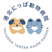 港北にっぱ動物病院チャンネル