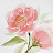 @dorcas_T8P3M3