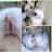 @토리노리미리-ham