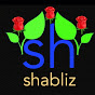 shabliz24