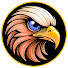 vFsOhj9GBZE-channel-avatar-Falkenblick Skills Center