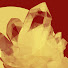 QD-poSy-6mk-channel-avatar-quarterz