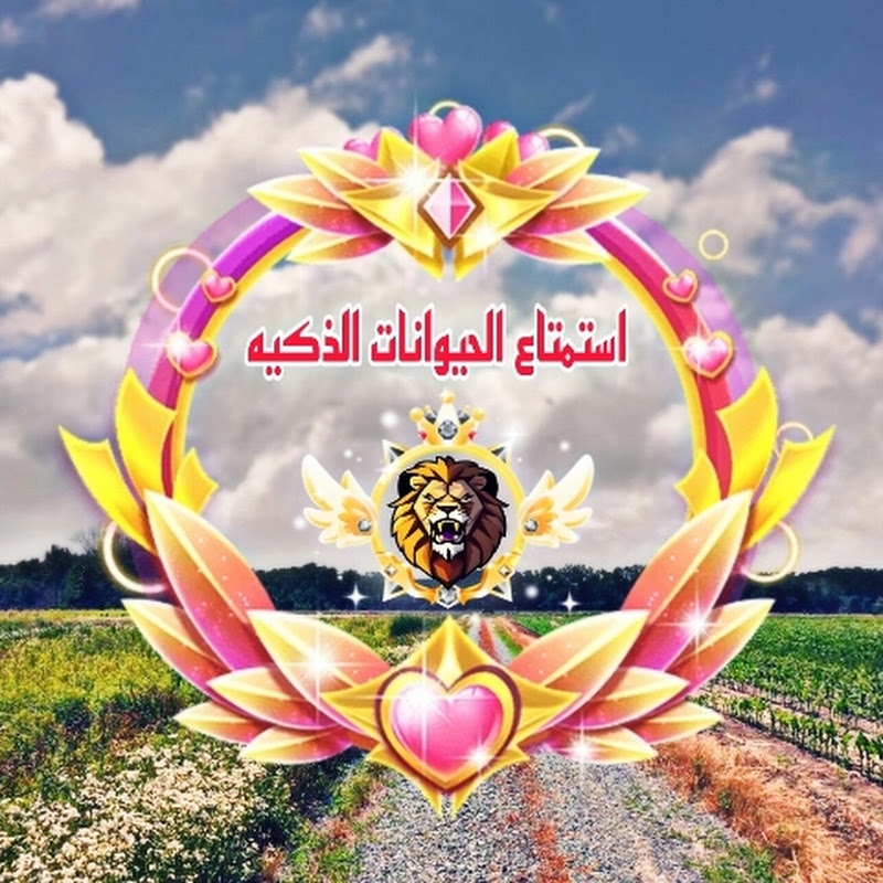 استمتاع الحيوانات الذكيه 