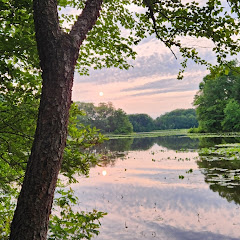 Fishing VA
