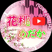 花桃めだか【ちよ太郎】