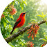 ZC_7dcbvlhE-channel-avatar-Forest Murmur