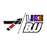 bbHifmQGWeQ-channel-avatar-LIKE BJJ