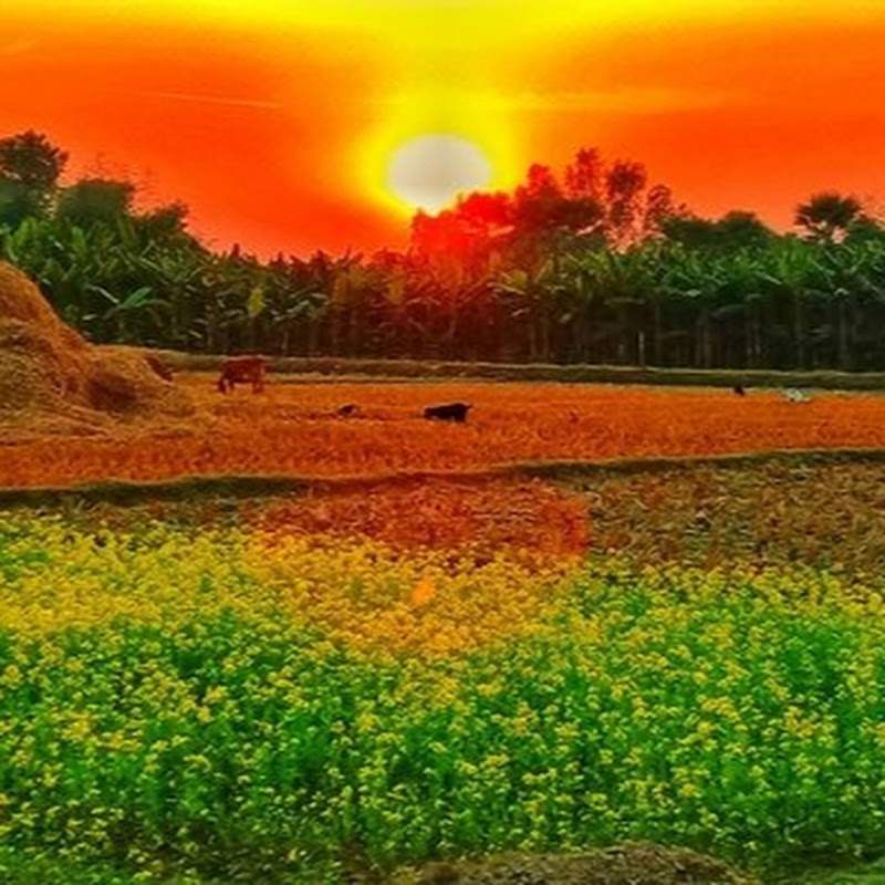 smart editor khati Bihar