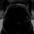 pX9GwBRyDhg-channel-avatar-sleqt